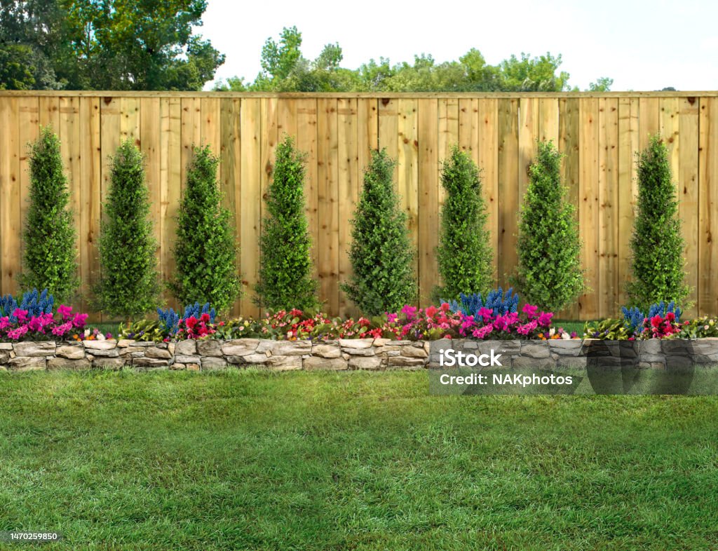 Empty backyard with green grass, trees, flowers and wood fence Yard - Grounds Stock Photo