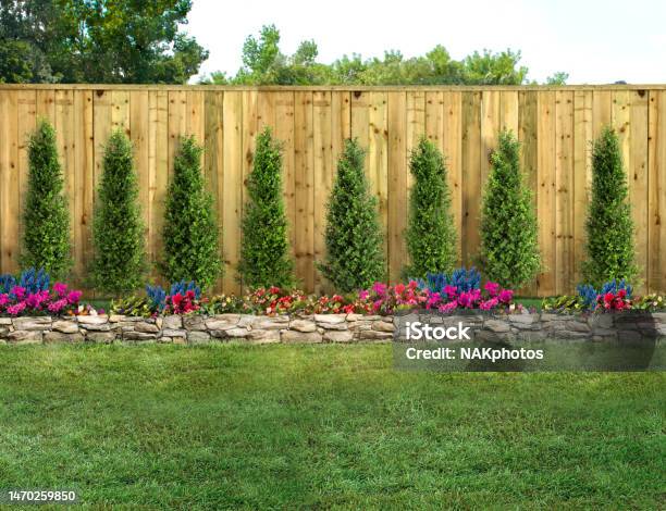 Empty Backyard With Green Grass Trees Flowers And Wood Fence Stock Photo - Download Image Now