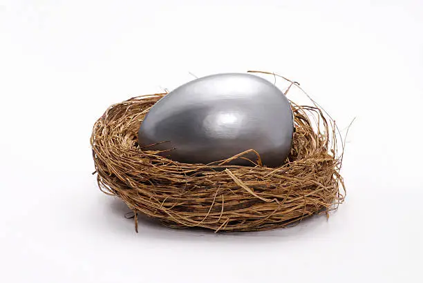 Photo of Silver sleepegg.