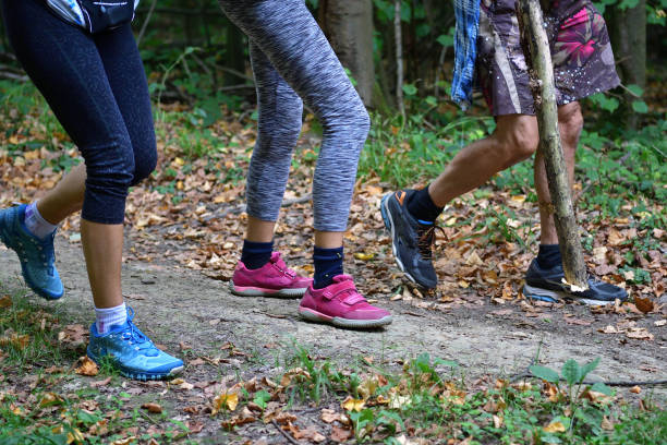 Hikers in light summer shoes walking on a forest path with leaves in autumn stock photo