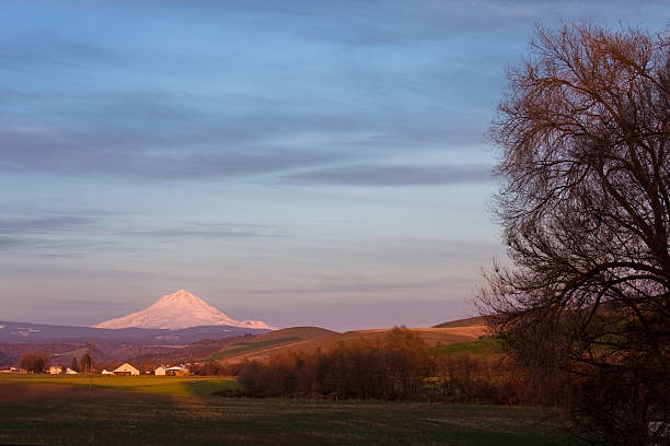 istock Mt. Hood Morning 147026557