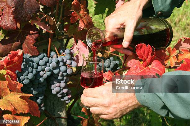 Neues Weinrot Stockfoto und mehr Bilder von Beere - Obst - Beere - Obst, Blatt - Pflanzenbestandteile, Eingießen