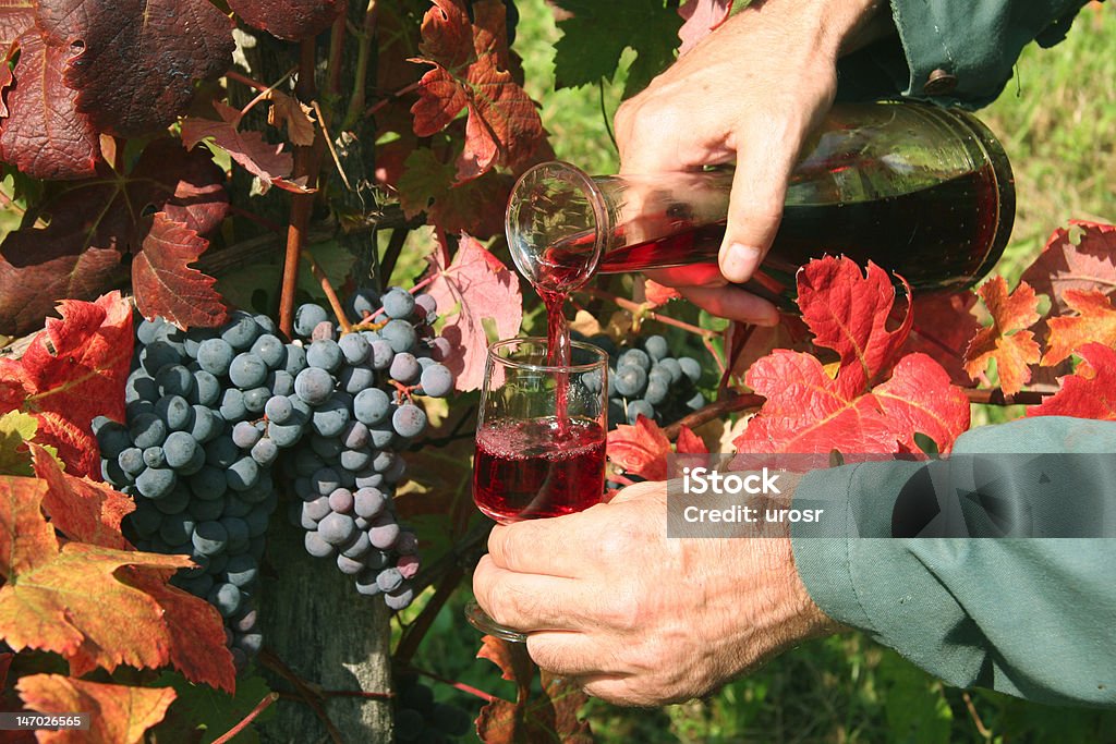 Nuevos de vino - Foto de stock de Agarrar libre de derechos