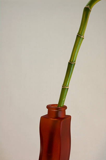 Red vase with green stalk stock photo