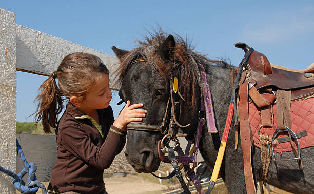 istock Little girl caring for her pony 147026782