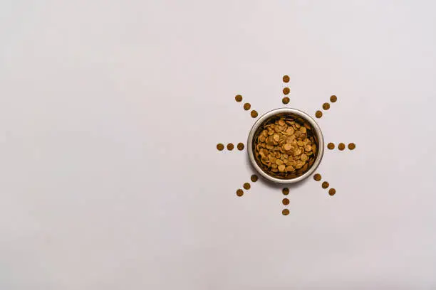 A stainless dog bowl filled with brown crunchy dog food. The bowl has a star-shaped pattern around it made with bits of dog food. Isolated on a light gray background with copy space.