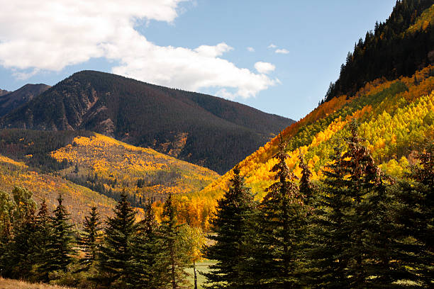 istock Mountains of Colorado 147026941