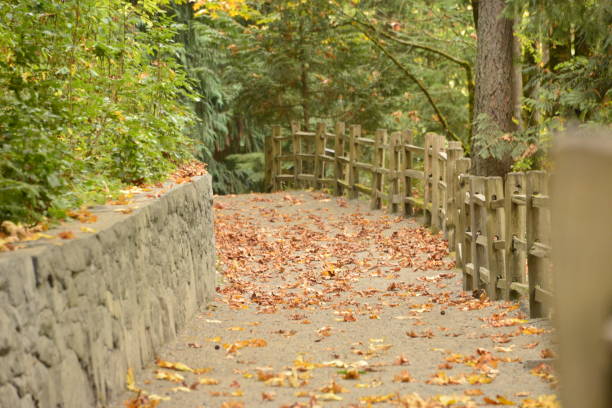istock Walking Path With Scattered Autumn Colored Leaves 1470269795