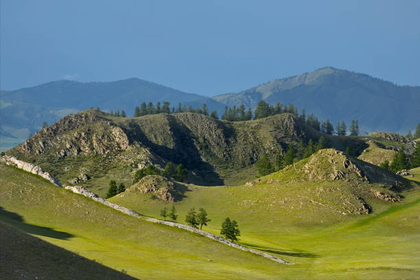 istock Green carpets of the Altai Mountains 1470270040