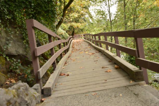 istock Abstract View Of Long Spanning Wooding Bridge 1470270145