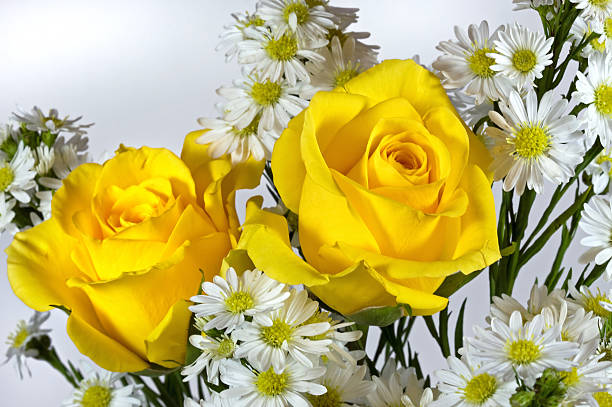 Yellow Rose Bouquet stock photo