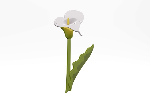 Three -dimensional graphics of flower isolated on a white background - 3d render