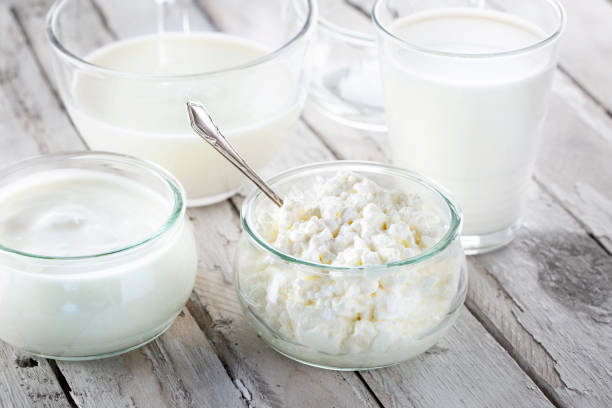 istock Dairy products - milk, cream, yoghurt, cottage cheese and curd 1470272836