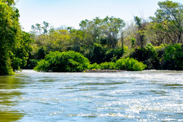 istock Rapids in Rio Corobici in Costa Rica. 1470273751