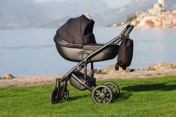 A modern black stroller on grass with lake background.