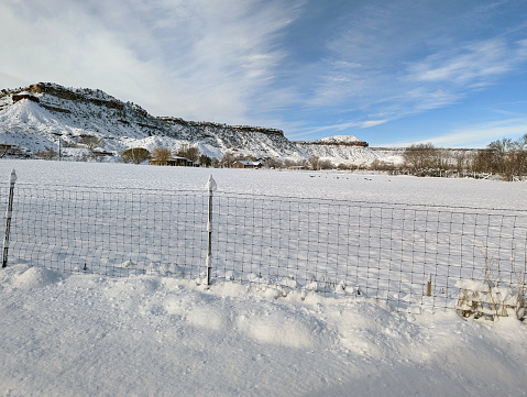 Alfalfa field covered in snow in the Virgin River Valley after a heavy February 2023 snowfall and South Mesa in the background