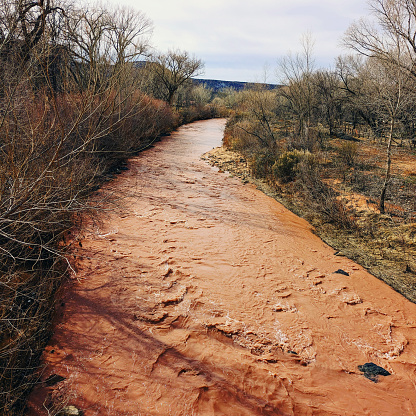 The Virgin River running with heavy muddy runoff after February 2023 snowfall and rain in Zion National park Utah