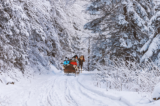 Winter landscape - view of the snowy road with with a horse sleigh in the winter mountain forest after snowfall, 30 January, 2019