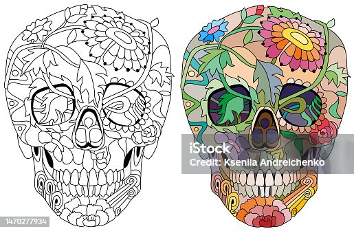 istock stylized scull. Hand drawn decorative vector illustration for coloring. Color and outline set 1470277934