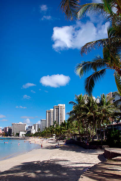 istock Waikiki Beach in Honolulu, Hawaii 147027795