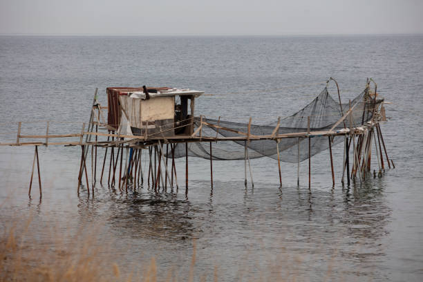 summer house