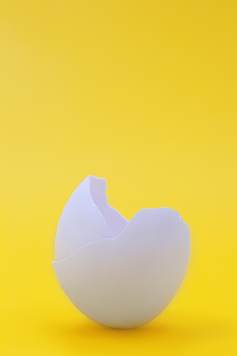 Eggshell on a yellow background. Broken cracked egg. Easter, birth. Copy space