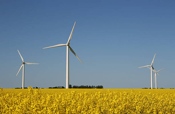 Turbiny wiatrowe – zdjęcie
