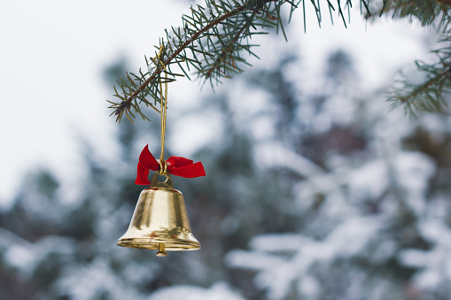 Close up view of gold Christmas bell hanging on branch of evergreen tree in snowy forest