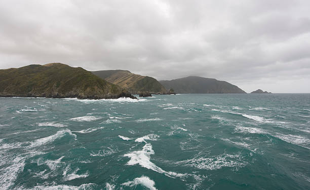 entrada al estrecho de la reina charlotte - queen charlotte sound fotografías e imágenes de stock