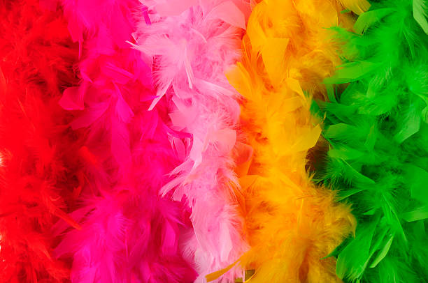 istock Birds of a feather flock together 147030019