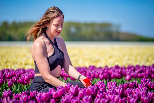 dutch woman seated looking the violet tulip flowers in the spring in the Netherlands