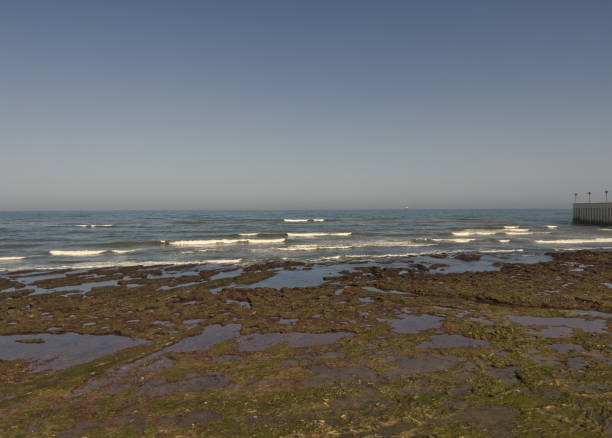 Water front by the Hassan II Mosque