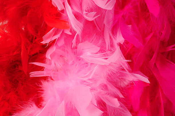 istock Birds of a feather flock together 147030731
