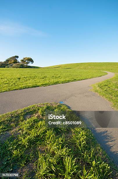 Deren Weg Auf Grüne Landschaft Und Blauem Himmel Stockfoto und mehr Bilder von Fusionen und Übernahmen - Fusionen und Übernahmen, Weg, Asphalt