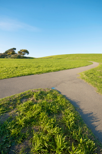 A merging path on a green grass Landscape and blue sky at Berkeley Marina in the East Bay.