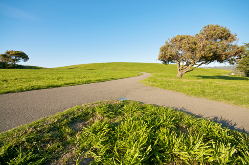 A merging path on a green grass Landscape and blue sky at Berkeley Marina in the East Bay.