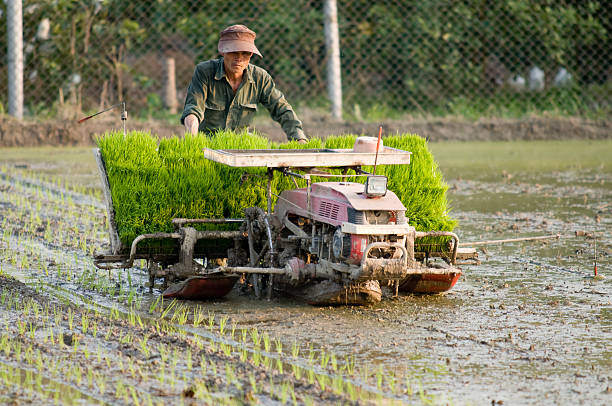 Rice Planter and Farmer in Taiwan stock photo
