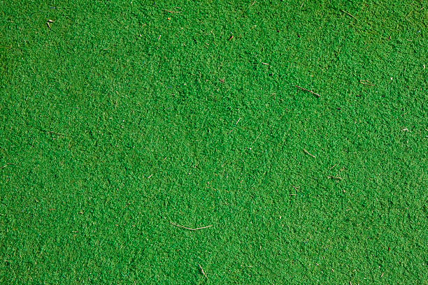 istock Fake green grass field 147031570