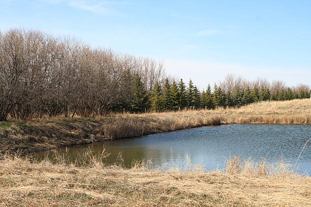 istock Small Pond of Water 147031585