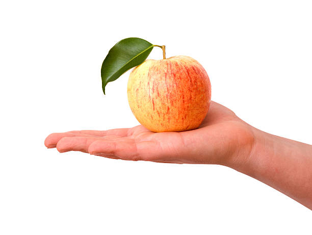 istock Girl's hand with apple  isolated on white background 147031737