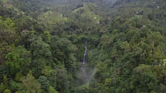 Aerial video of waterfalls in the background of the rice fields in a tropical rain forest in Bali
