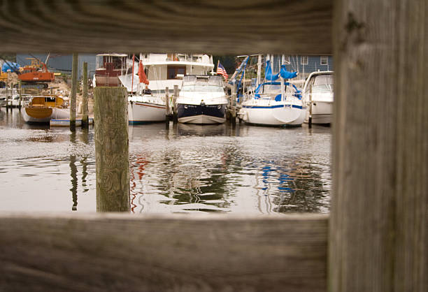 istock Boats at a pier 147031934