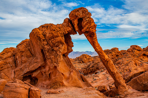 This rock formation in the Valley of Fire near Las Vegas in Nevada is shaped like an elephant. Seen a hot summer day in the desert.