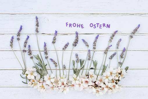 Soft flat lay of lavender and almond blossoms and the German lettering Frohe Ostern what means happy easter on white wooden background. Color editing with added grain. Very selective and soft focus. Part of a series.