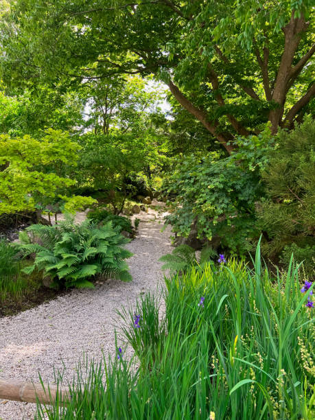 istock View of pathway going through park with beautiful green plants 1470322546
