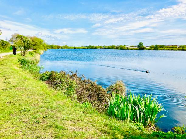 A view across one of the reservoirs at the Walthamstow Wetlands.