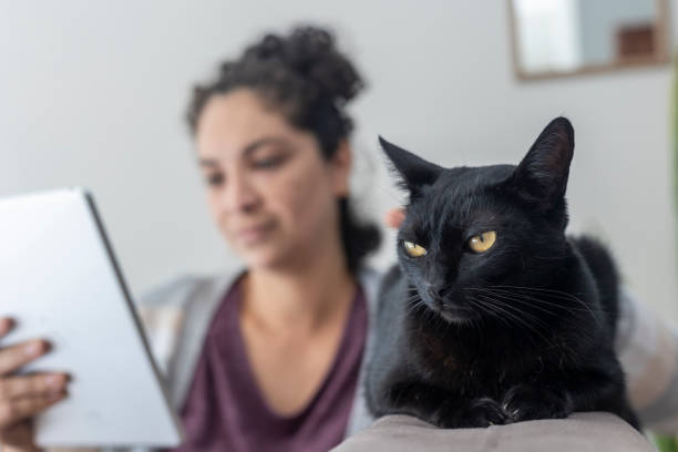 istock Latin woman using tablet with pet cat at home 1470324060