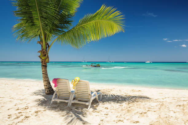 istock Relaxing on a tropical island beach with sun lounger under coconut palm tree shadow. Paradise vacation in Dominican Republic. 1470324163