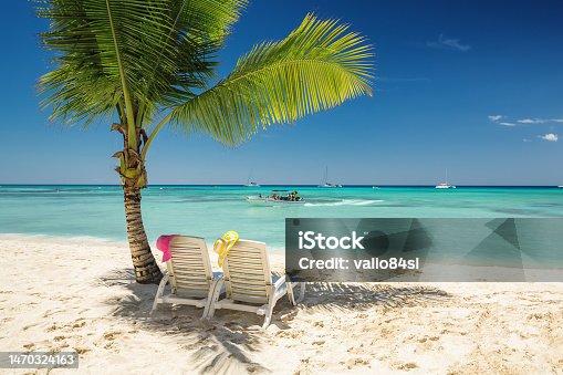 istock Relaxing on a tropical island beach with sun lounger under coconut palm tree shadow. Paradise vacation in Dominican Republic. 1470324163