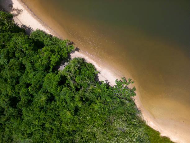 Capricorn Beach in Caraguatatuba
